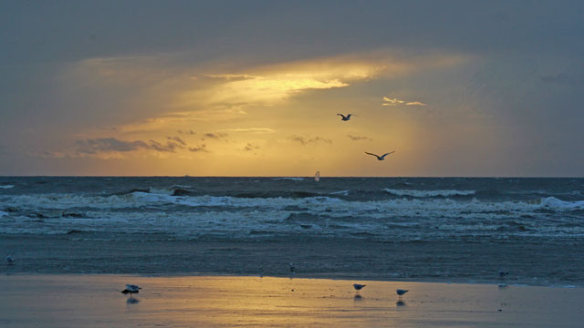 ebbeflut 640x360px_01